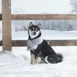 Koolaburra By UGG Cooper Sherpa Pet Scarf -Koolaburra Boots Shop unnamed file 1424